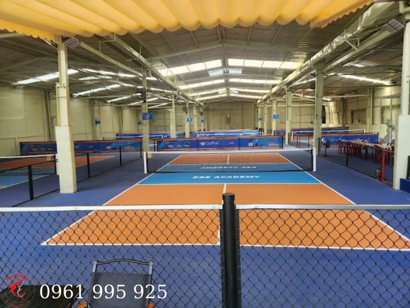 mau-san-pickleball