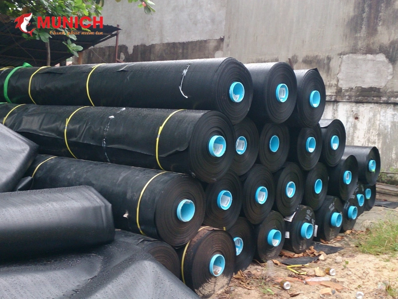 chong-tham-toilet-bang-mang-chong-tham