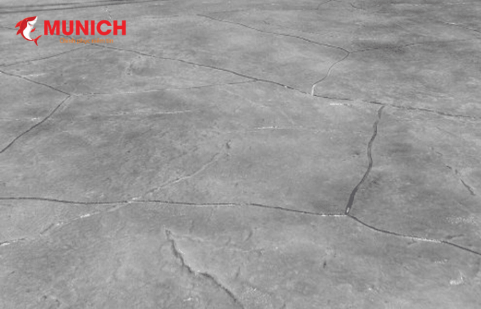 chong-tham-san-thuong