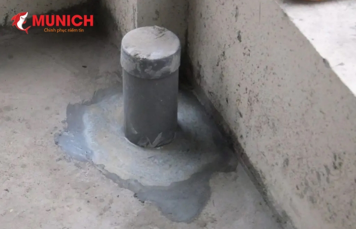 chong-tham-co-ong-la-gi