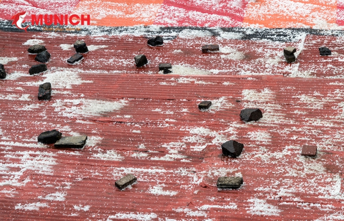 nguyen-nhan-gay-tham-dot-mai-ton