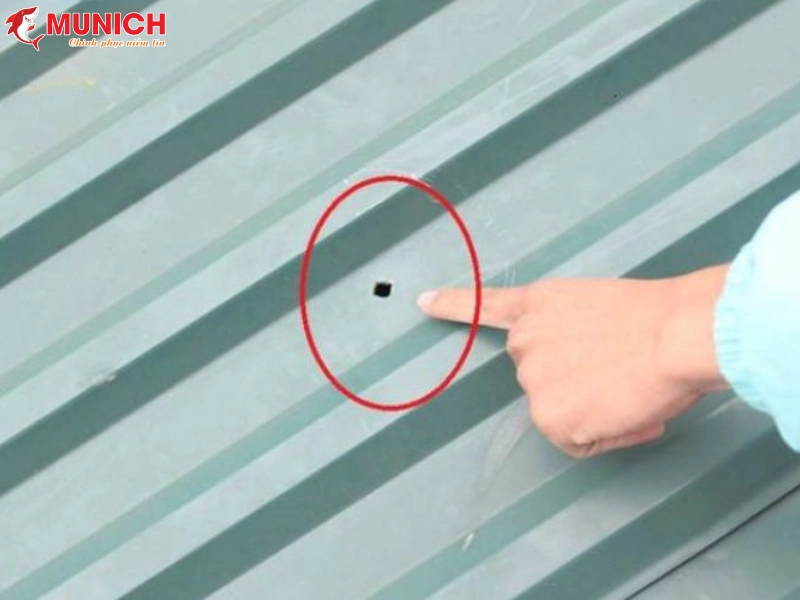 nhan-biet-mai-ton-bi-dot