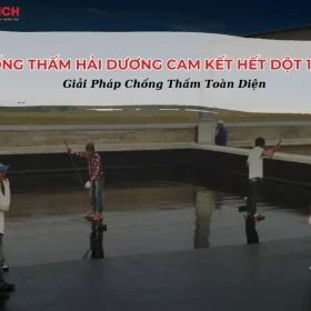 chong-tham-hai-duong