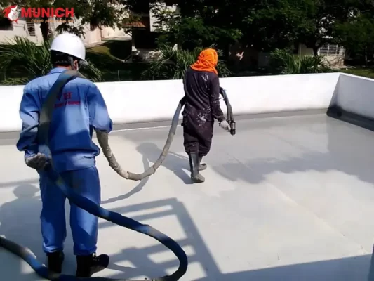 chong-tham-ngoc-hoan