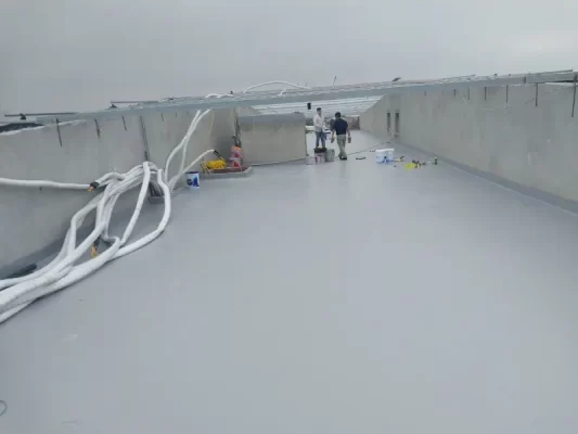 chong-tham-ngoc-hoan