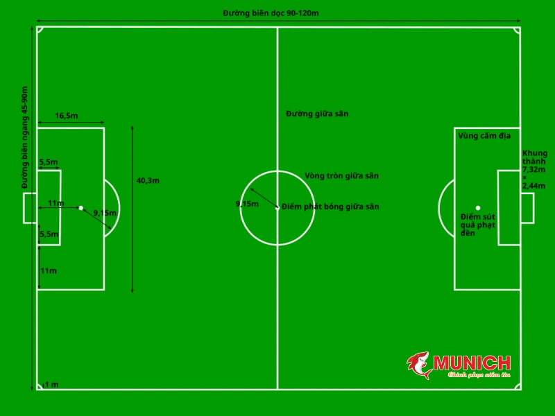 kich-thuoc-san-the-thao