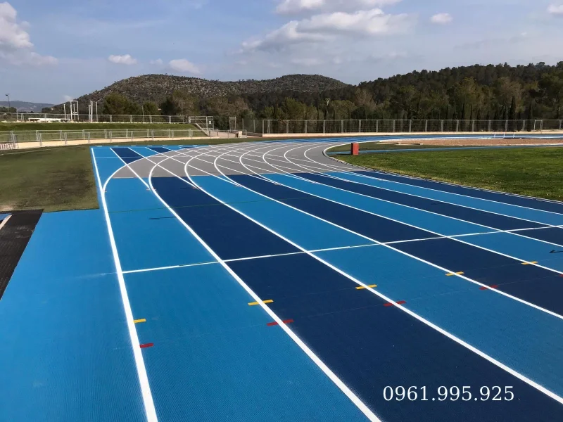 mau-duong-chay-dien-kinh