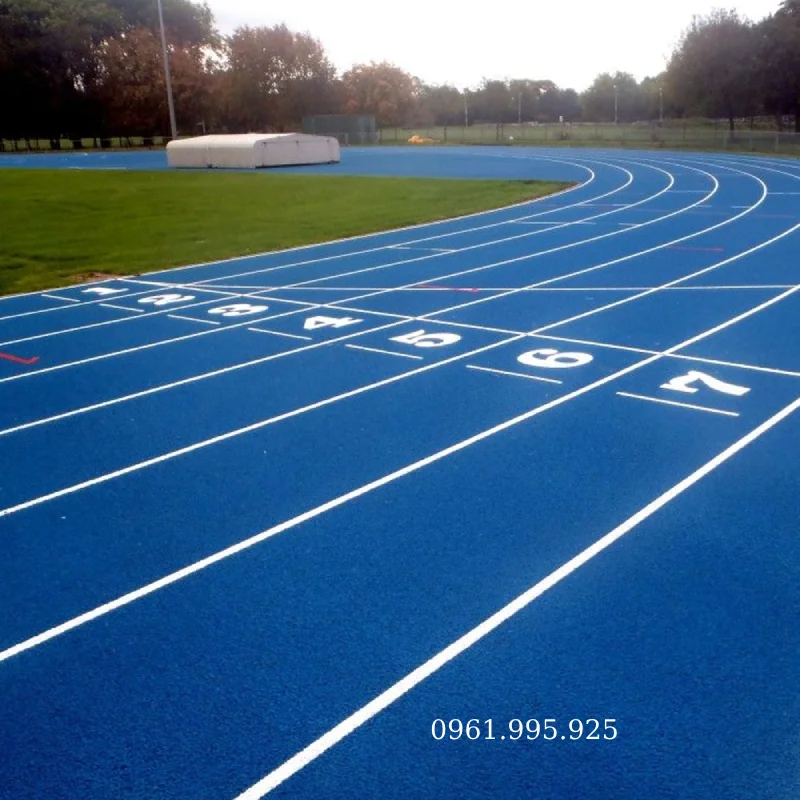 mau-duong-chay-dien-kinh