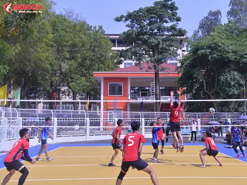 thi-cong-san-bong-chuyen