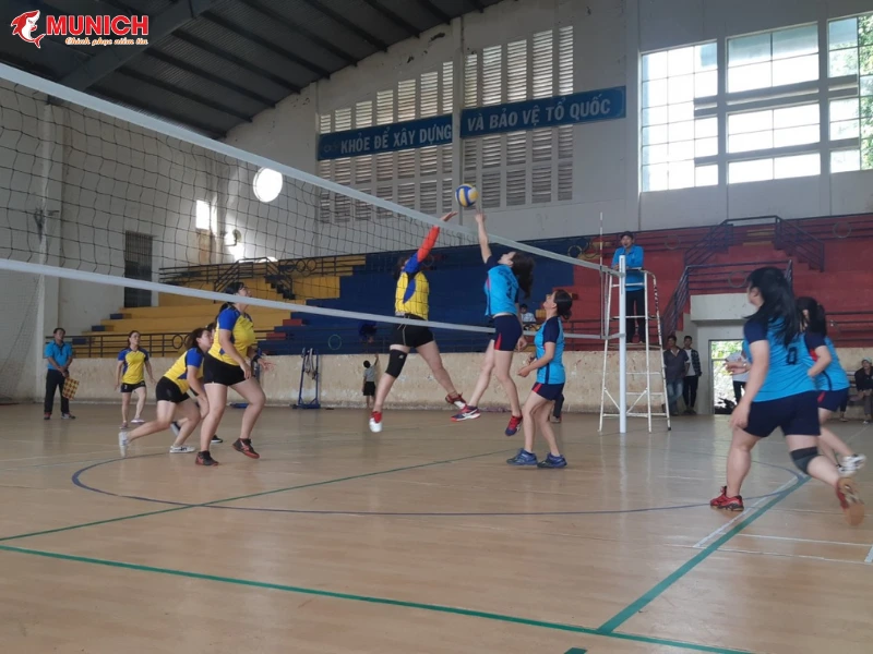 thi-cong-san-bong-chuyen