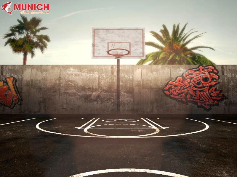 chi-phi-lam-san-bong-ro