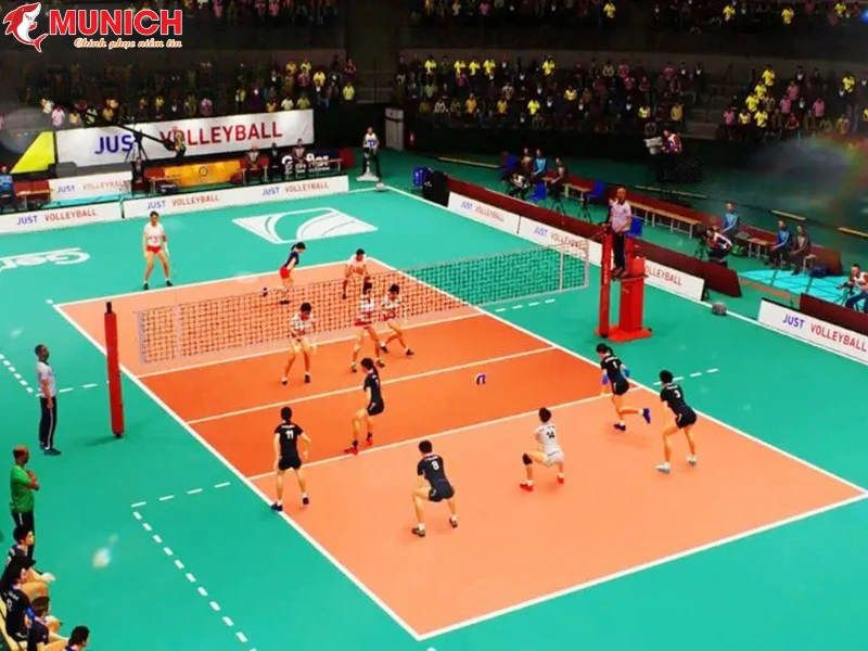 kich-thuoc-san-bong-chuyen