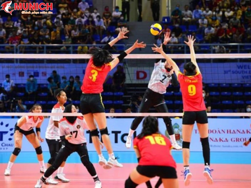 kinh-doanh-san-bong-chuyen