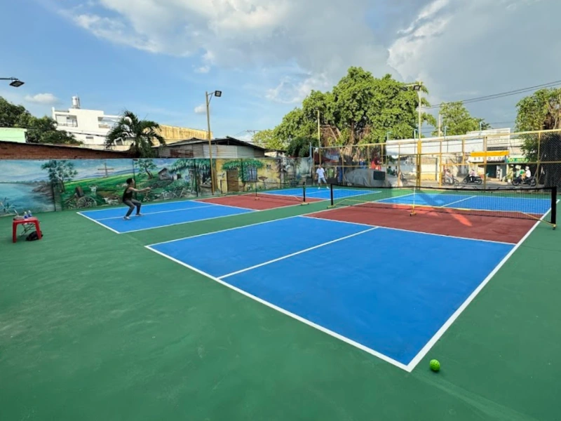 san-cau-long-pickleball-sinh-to