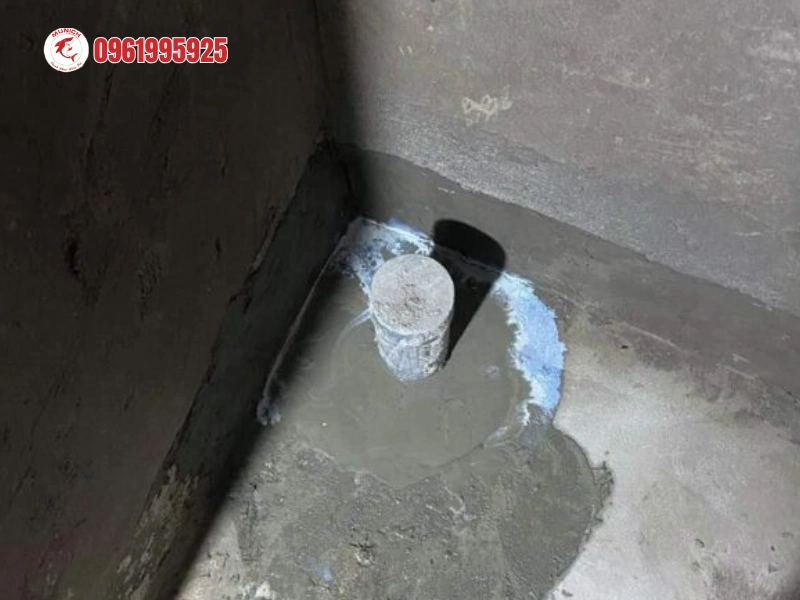 chong-tham-lo-thoat-san