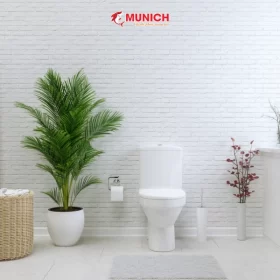 chong-tham-nha-ve-sinh-khong-can-duc-gach