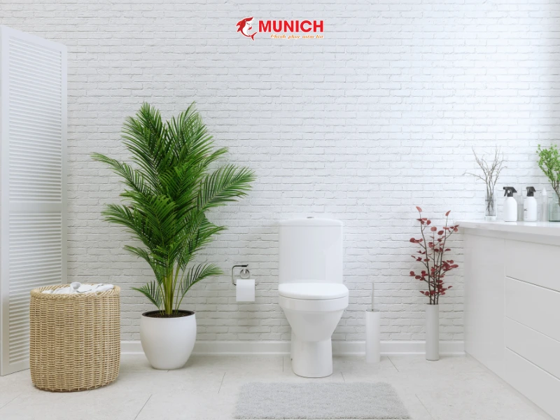 chong-tham-nha-ve-sinh-khong-can-duc-gach