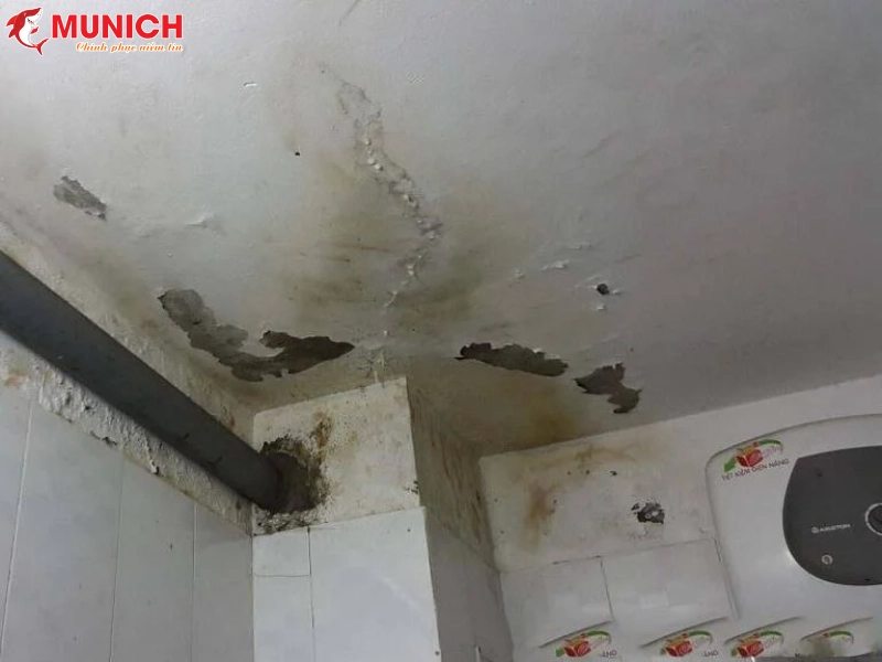 nha-ve-sinh-tang-1-co-can-chong-tham-khong