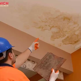 nha-ve-sinh-tham-nuoc-xuong-tang-duoi