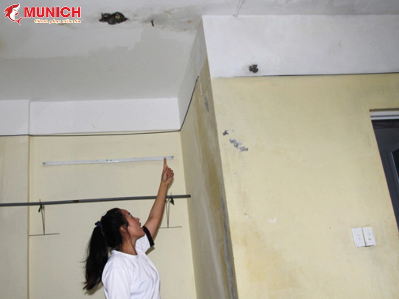 nha-ve-sinh-tham-nuoc-xuong-tang-duoi