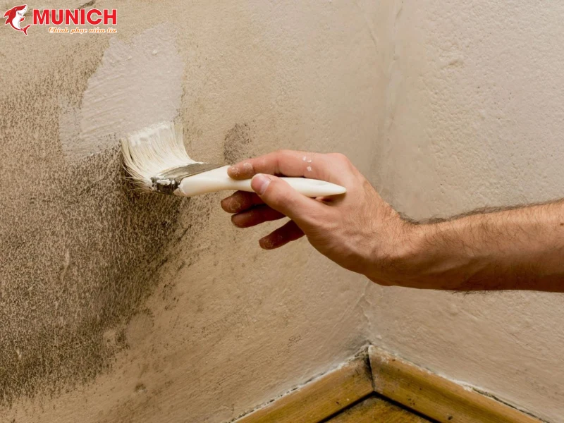 chong-reu-moc-cho-tuong