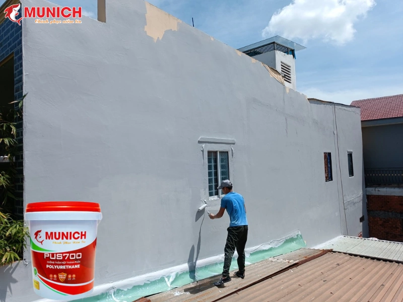 chong-reu-moc-cho-tuong