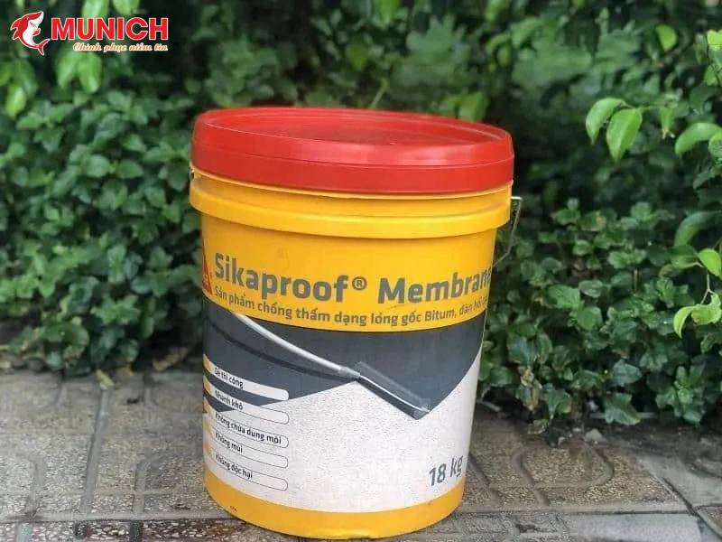 son-chong-tham-san-thuong-sika-membrane