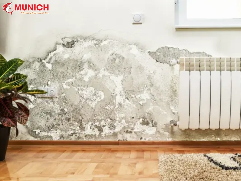 son-chong-tham-tuong-zado-paint