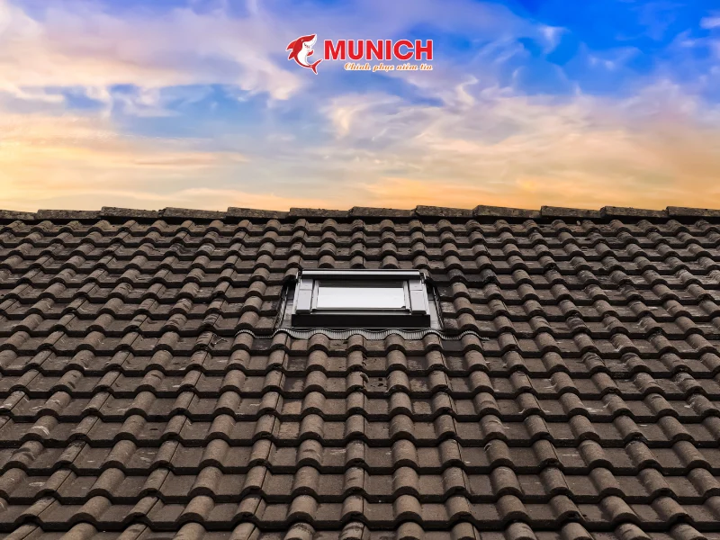 chong-nong-cho-tran-nha