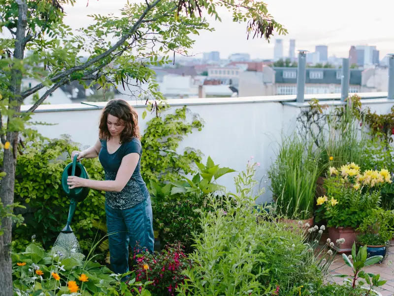 chong-nong-cho-tran-nha