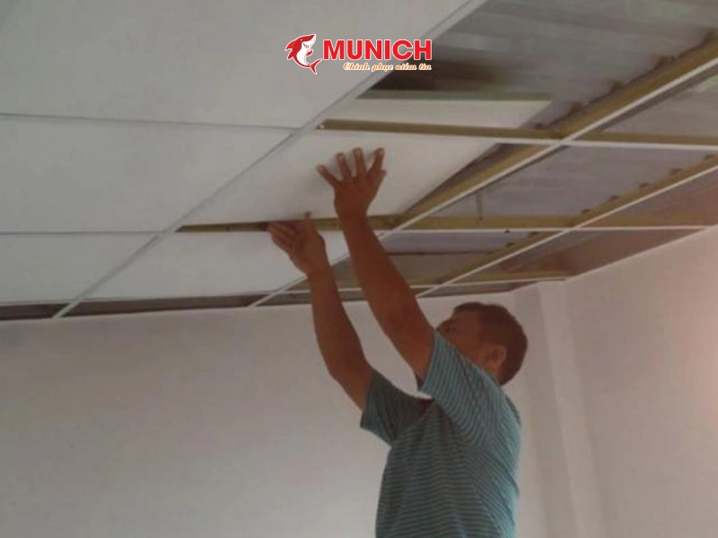 chong-nong-cho-tran-nha