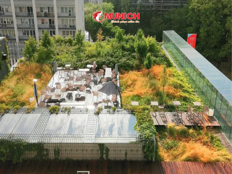 chong-nong-san-thuong