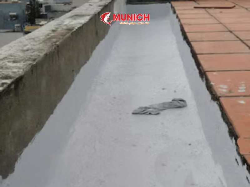 son-chong-tham-mang-xoi