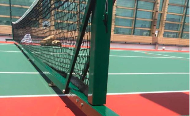 luoi-san-pickleball