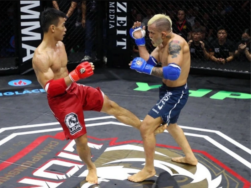 san-dau-mma