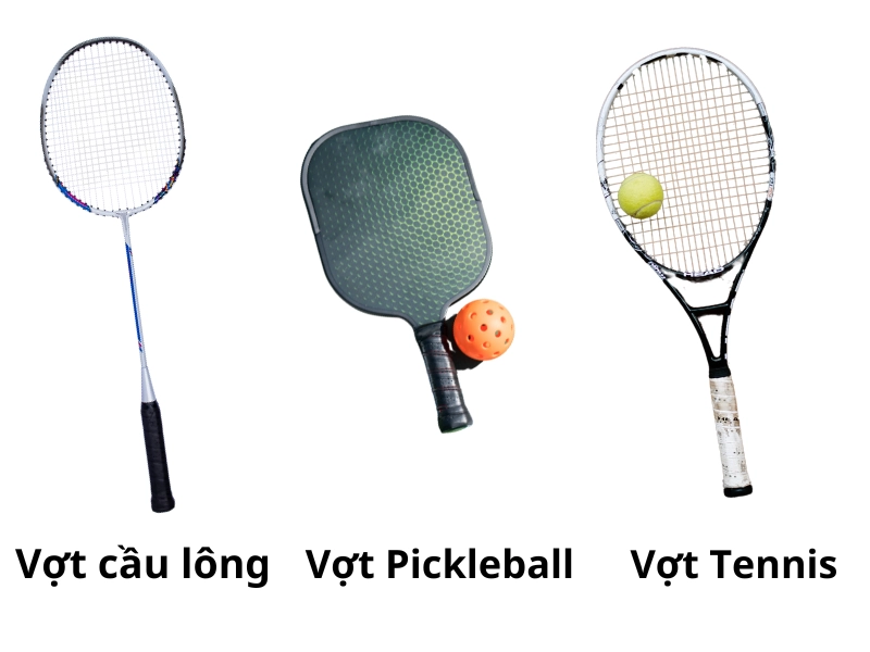 so-sanh-san-cau-long-san-pickleball-va-san-tennis