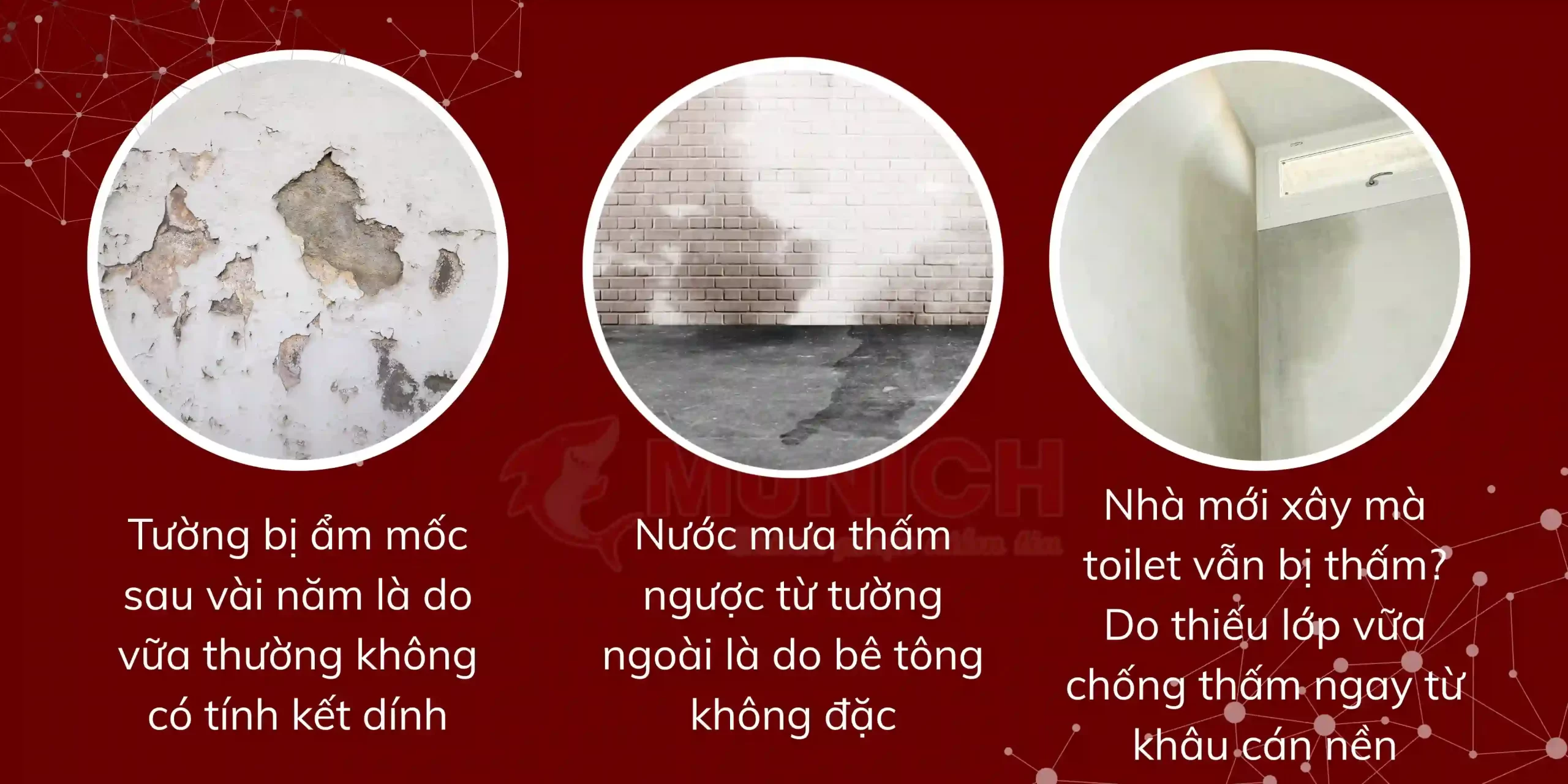 vua-ky-thuat-keo-xay-dung-munich